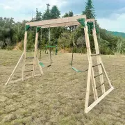Daintree 2-in-1 Monkey Bars &amp; Swing Set