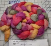 Hand Dyed Painted Med Wool Blend Combed Top Roving Spinning Felting Charity
