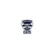 Geelong Cats AFL Logo Pin