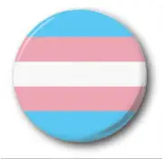 Transgender Trans Pin Badge / Button - LGBTQ Pride