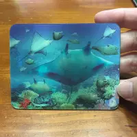 在飛比找Yahoo!奇摩拍賣優惠-旅遊紀念品#沖繩水族館磁鐵