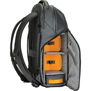 Lowepro Freeline 無限者 BP350 AW 黑色 相機包 後背包 一機三鏡 正成公司貨