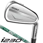 PING i230 Iron set 5-pw / NS-PRO950GH NEO S