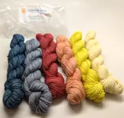 Sunshine Yarns March Gradient Kit Handdyed Set 6x75yd hanks Merino Sport