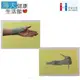 【海夫健康生活館】台灣製 彈性 左/右手 姆指托板(C306)