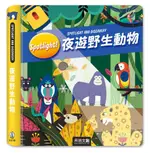 ⚡現貨⚡《禾流文創》SPOTLIGHT！夜遊野生動物💖大心書坊💖