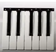 GENUINE KORG MicroX, K61, K61P, X50, R3, PA500 KEY SET (7xWhite 5xBlack Keys)
