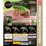 花花扭蛋  日本萬代 BANDAI  生物大圖鑑 黑斑側褶蛙 青蛙擺件 扭蛋 禮物