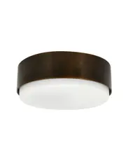 Bronx 1 Light 300mm Flush Mount in Bronze
