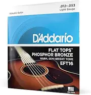 D'Addario Guitar Strings - Acoustic Guitar Strings - Flat Tops Phosphor Bronze - For 6 String Guitar - Warm, Semi-Bright Tone - EFT16 - Light, 12-53