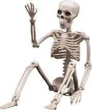 16" Posable Plastic Skeleton - Small Full Body Skeleton for Halloween Decor