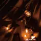 丹大戶外S14 LED天幕美學燈串 7.6米15顆燈泡(塑膠殼)A014 防水｜陽台燈｜咖啡廳｜串燈｜露營燈