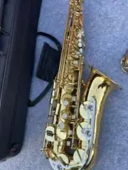 New Alto Saxophone E-flat 200DR Professional Saxophone with Case
