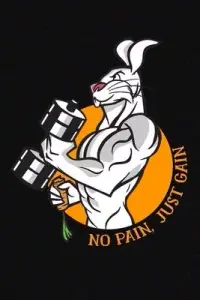 在飛比找博客來優惠-No Pain Just Gain Rabbit Carro