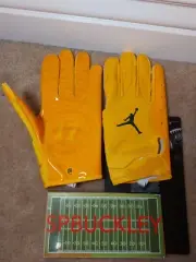 NIKE JORDAN VAPOR JET 6.0 NFL GREENBAY PACKERS #17 DAVANTE ADAMS FOOTBALL GLOVES
