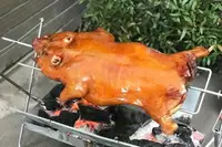在飛比找樂天市場購物網優惠-【海鮮肉舖】 脆皮烤乳豬 6~7斤 乳豬 豬肉 台灣豬 烤肉