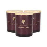 Nicola Spring Scented Soy Wax Candles - 130g - Cinnamon Orange - Pack Of 3