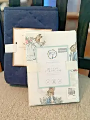 Snoopy Pottery Barn PEANUTs PILLOWCASE +SHAM holiday Peter Rabbit Disney SET 2