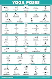 QuickFit Yoga Poses Poster - Beginner Yoga Position Chart - English and Sanskrit Names - Double Sided (Laminated, 18" x 27")