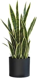 Artificial Trees Simulation Tree Artificial Tree Living Room Office Desktop Fake Tree Potted Decoration Nordic Style Artificial Plants Fake Tree