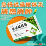 冬凌草膠囊慢性咽炎喉嚨腫痛扁桃體發炎咽喉炎專用藥嗓子疼非噴劑