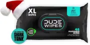 Flushable Wipes - 1 Pack, 48 Wipes - Mint Chill Extra-Large Wet Wipes with Eucal