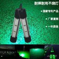 在飛比找蝦皮商城精選優惠-12v24v220v水下誘魚燈集魚燈led水下燈水底燈魷魚帶