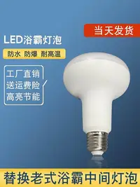 在飛比找Yahoo!奇摩拍賣優惠-LED浴霸燈泡中間照明燈防水防爆家用衛生間浴室衛浴照明專用燈