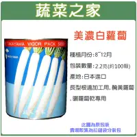 在飛比找Yahoo!奇摩拍賣優惠-【蔬菜之家】C04.美濃白蘿蔔種子2.2克(約100顆)(日