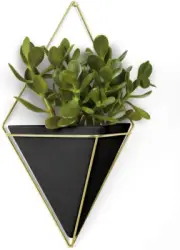 Trigg Hanging Planter Vase Wall Decor, Pot and Container for Succulents, Cactus,
