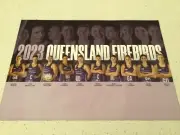 Netball Queensland firebirds team poster,champions,premiers, nsw swifts,vixens1
