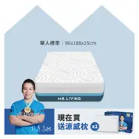 在飛比找PChome24h購物優惠-涼感減壓記憶床墊 單人標準 3尺