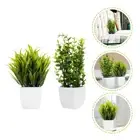 2Pcs Decorative Plant Vase Artificial Plants Bonsai Fake Greenery Pots
