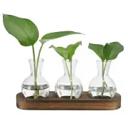 Plant Propagation Stations Glass Vases with Wooden Tray 3 Bulb Flower Vase