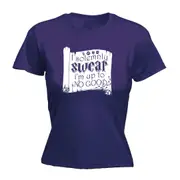 Solemnly Swear Im Up To No Good - Funny Novelty Womens T-Shirt T Shirt Tshirt
