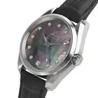 Omega Seamaster Co-Axial Aqua Terra Chronometer (M) 231.13.39.21.57.001 woman