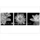 kipo購物工場2館-橫三聯式 三幅式 暗香 蘭花 無框畫掛鐘 無框畫鐘 FFB037002A