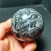 TOP 397G Natural Polished Banded Agate Crystal Sphere Ball Healing YWD767
