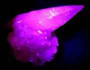 234.9g NATURAL Calcite Pink fluorescence Crystal Cluster Specimen/Hubei