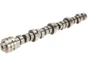 Mopar 58VC55P Camshaft Fits 2009-2022 Chrysler 300 5.7L V8 Camshaft (for: Chrysler)