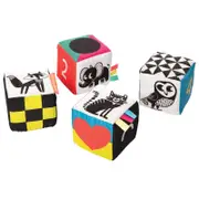 Manhattan Toy - Wimmer Ferguson Mind Cubes