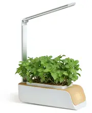 Hydroponics Growing System Indoor Herb Garden Kit with Grow Light Smart Garden for Home and Kitchen Indoor Plant Growing System White