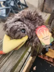 Folkmanis 11" Baby Bird Hand Puppet Plush, RARE, RETIRED. NEW with Tags
