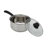 20cm Stainless Steel Saucepan with Lid