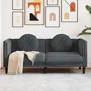 Sofa Velvet Dark Grey, 2-Seater Couch for Room, Couches for Living, Small Space, Lounge, Comfortable Seat