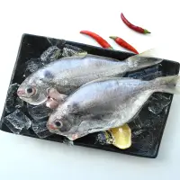在飛比找台灣好農優惠-龜山島野生肉卿魚(75g、單尾/包)