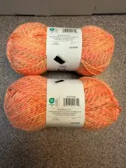 Big Twist Yarn Lot of 2 - JellyBean - Chili Mango, Lot 353408 - 218.7yd ea.