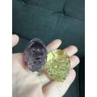 在飛比找蝦皮購物優惠-龍龜 天然紫水晶 天然黃水晶 清透料