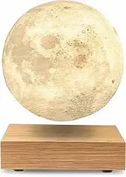 [Gingko] Smart LED 3D Printed Moon Lamp, White Ash