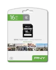 PNY 16 GB SDHC Class 4 Flash Memory Card (P-SDHC16G4H-GE)